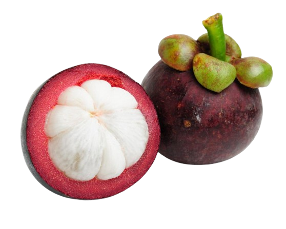 mangosteen