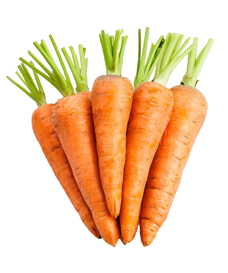 carrot