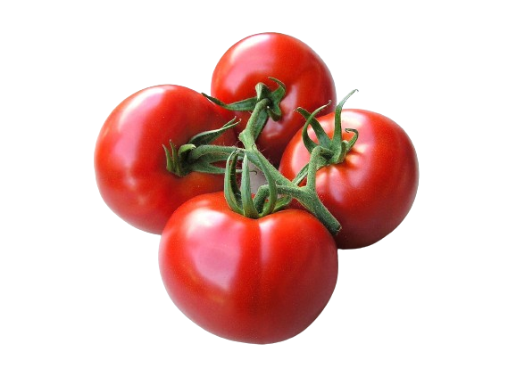 tomato