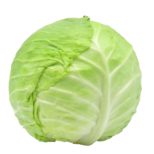 cabbage