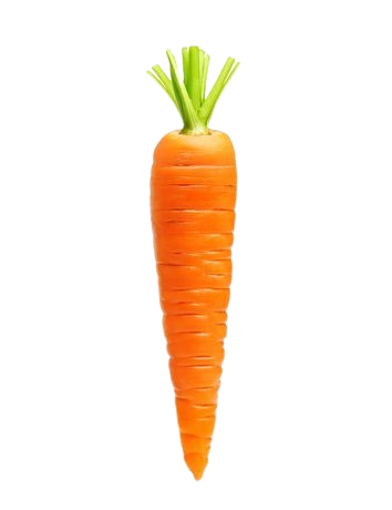 carrot