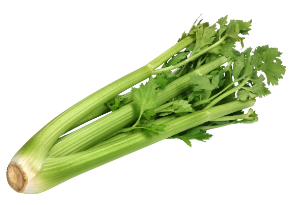 celery