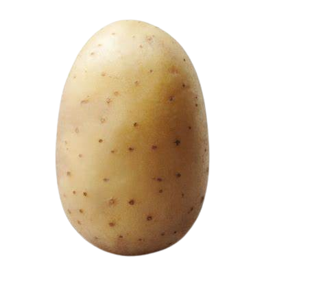 potato